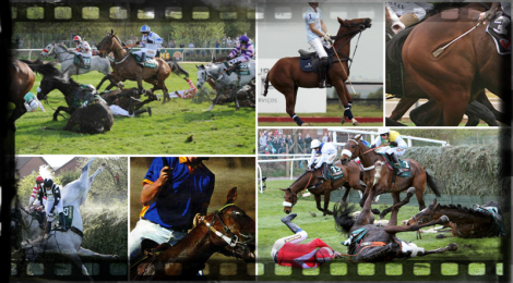 BeFunky_horseabusecollage.png
