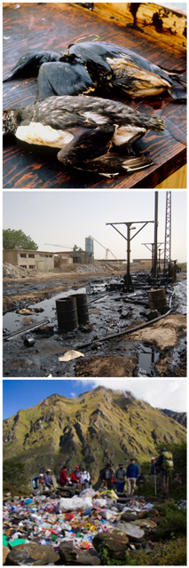 pollution1