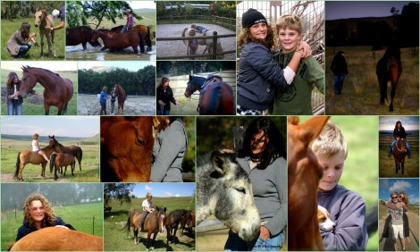 About Ilse Collage.1
