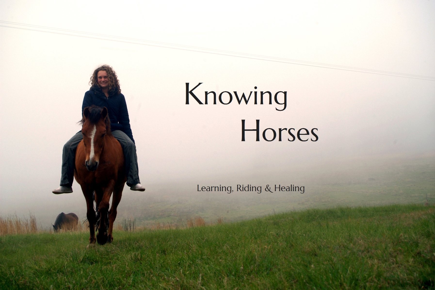 foodeez-default-slider-image