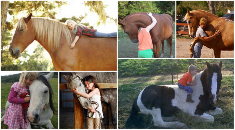 horsehug.png